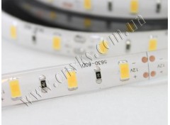 LED лента 5630/60 герметичная (IP65) premium